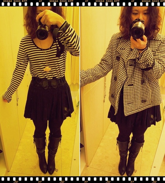 0214cats.jpg 0214cats.jpg