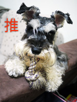 [愛情]我們的12週年紀念日