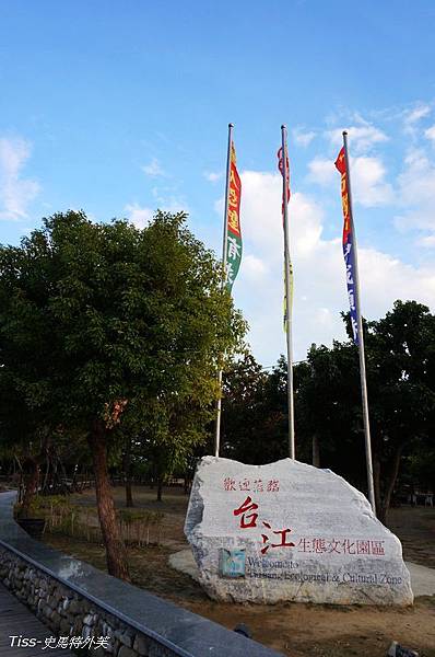 綠色隧道37.jpg 綠色隧道37.jpg