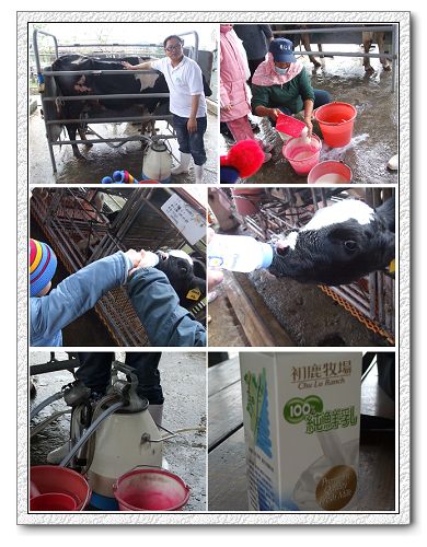 初鹿牧場.jpg 初鹿牧場.jpg
