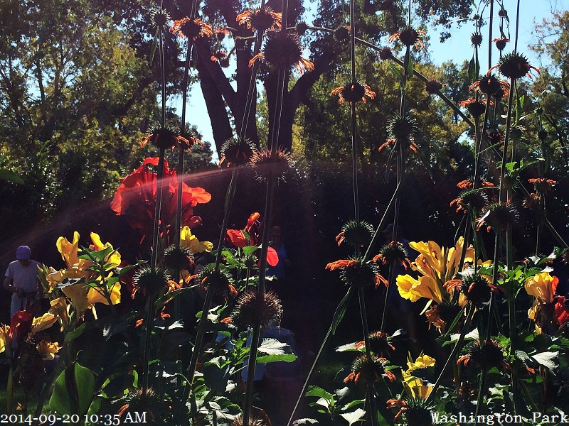 2014-09-20 10.35.22 2014-09-20 10.35.22