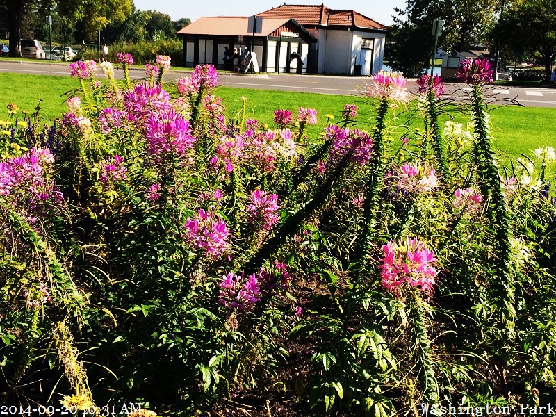 2014-09-20 10.31.12 2014-09-20 10.31.12