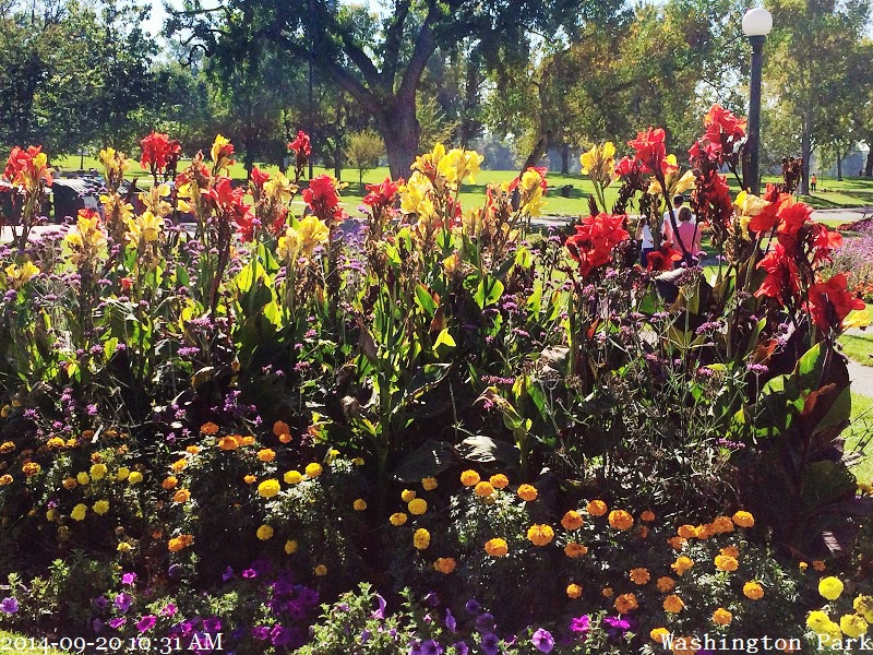 2014-09-20 10.31.34 2014-09-20 10.31.34