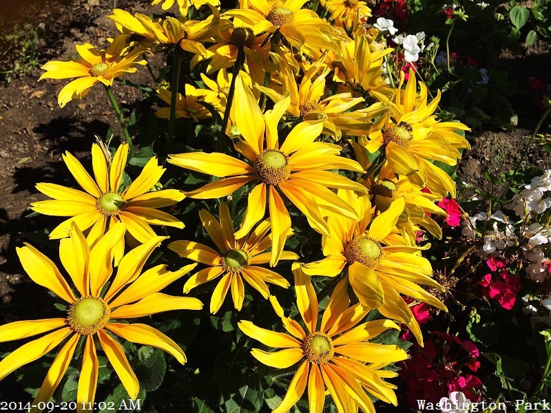 2014-09-20 11.02.17 2014-09-20 11.02.17