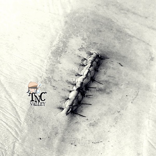 14201_932217693460272_8320093016205523642_n.jpg 14201_932217693460272_8320093016205523642_n.jpg