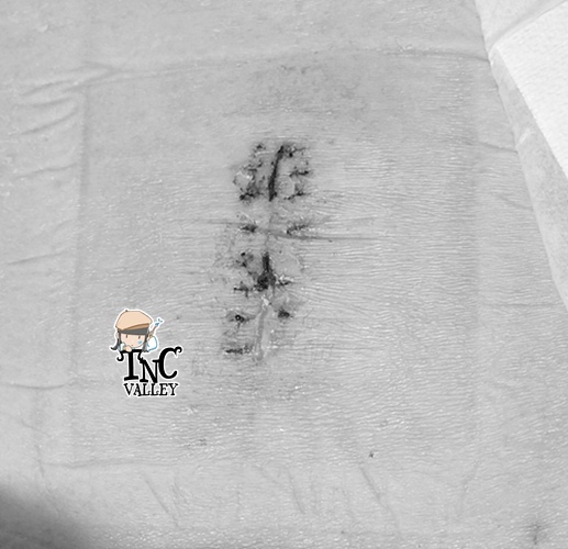 DSC09447-1.JPG DSC09447-1.JPG