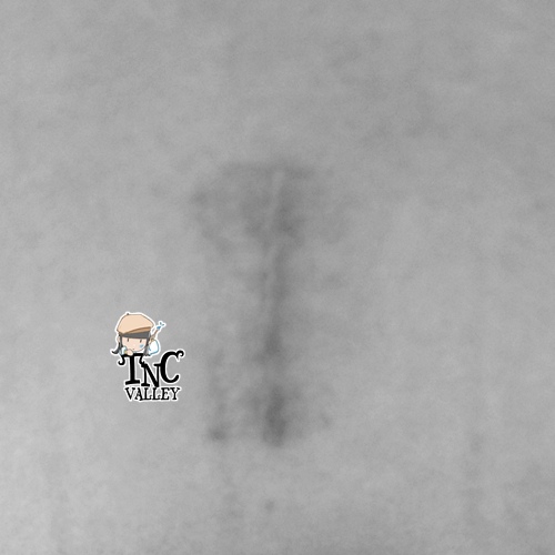 DSC09608-1.JPG DSC09608-1.JPG