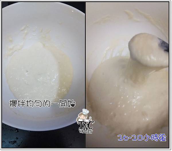 cats001.jpg cats001.jpg