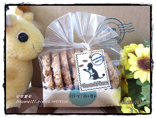 IMG_2651.jpg IMG_2651.jpg