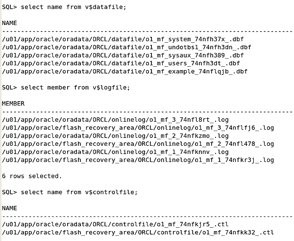 冷輩分-1 冷輩分-1