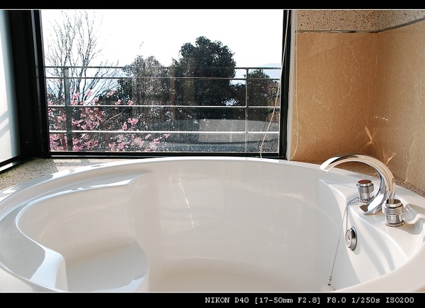 DSC_0376.jpg DSC_0376.jpg