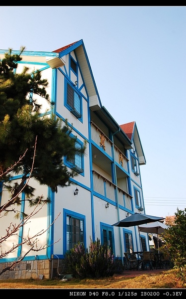 DSC_0401.jpg DSC_0401.jpg