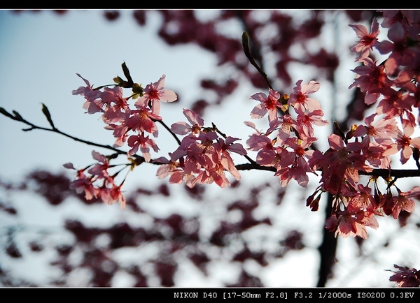 DSC_0412.jpg DSC_0412.jpg