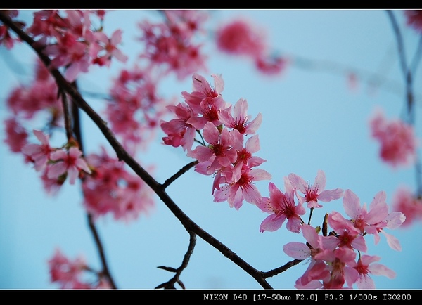 DSC_0435.jpg DSC_0435.jpg