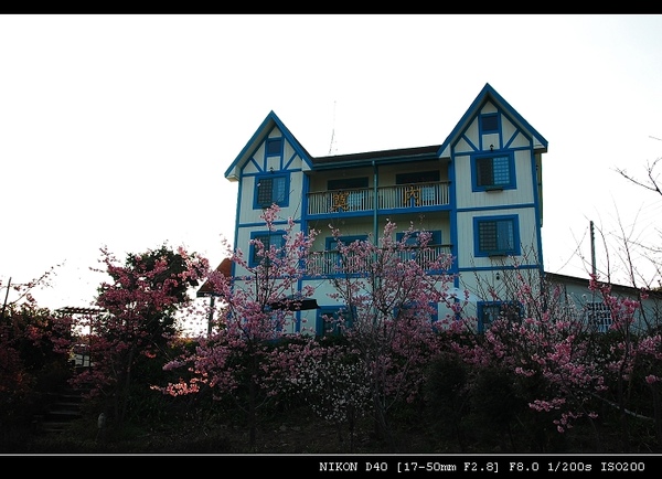 DSC_0444.jpg DSC_0444.jpg