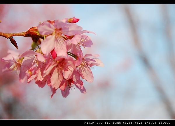 DSC_0475.jpg DSC_0475.jpg