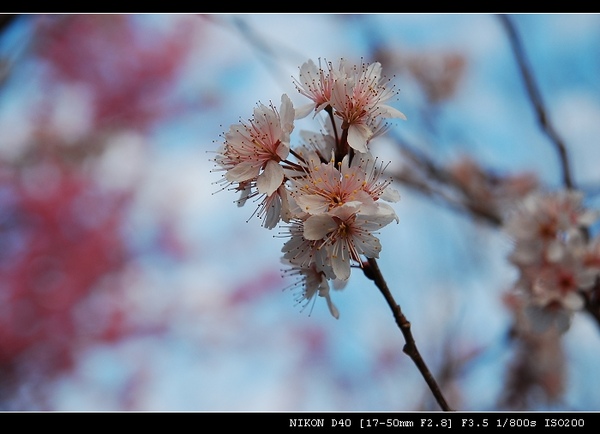 DSC_0563.jpg DSC_0563.jpg