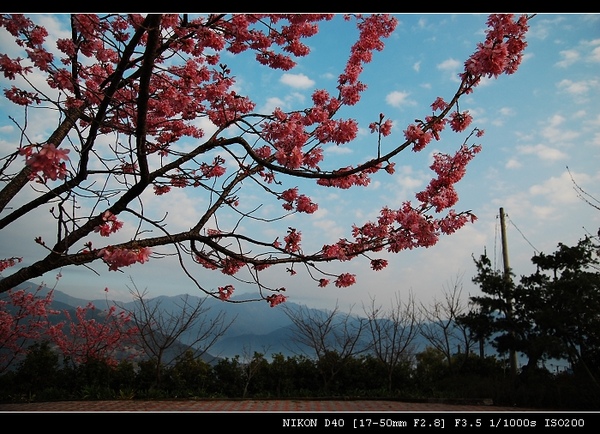 DSC_0567.jpg DSC_0567.jpg