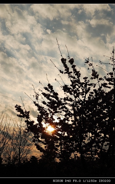 DSC_0572.jpg DSC_0572.jpg