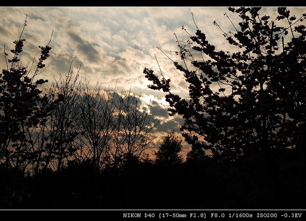DSC_0580.jpg DSC_0580.jpg