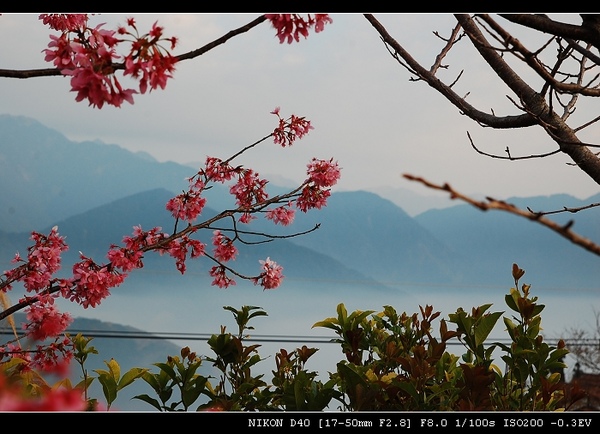 DSC_0584.jpg DSC_0584.jpg