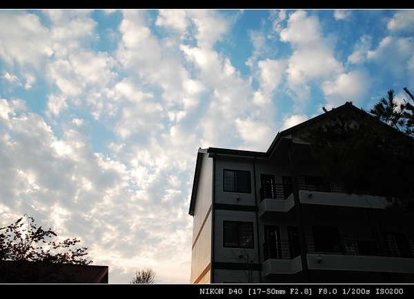 DSC_0617.jpg DSC_0617.jpg