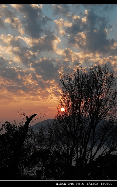 DSC_0653.jpg DSC_0653.jpg