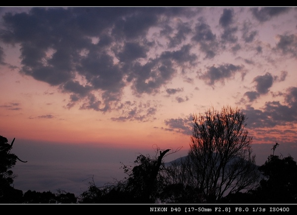 DSC_0663.jpg DSC_0663.jpg