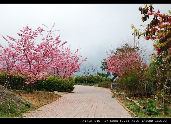 DSC_0712.jpg DSC_0712.jpg