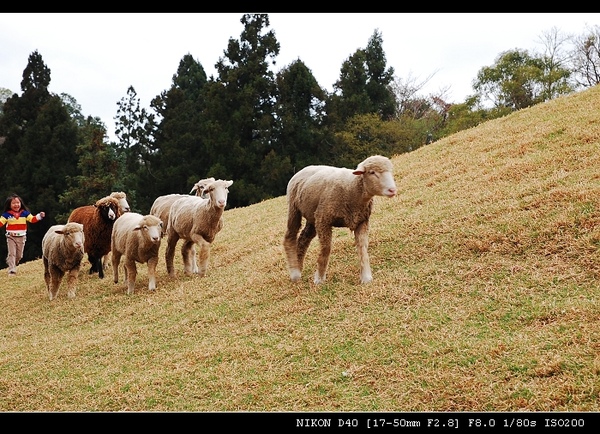 DSC_0728.jpg DSC_0728.jpg