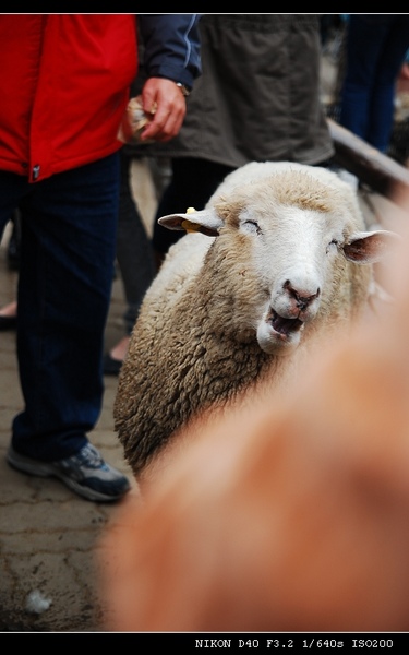 DSC_0735.jpg DSC_0735.jpg