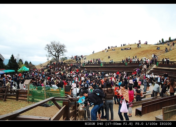 DSC_0736.jpg DSC_0736.jpg