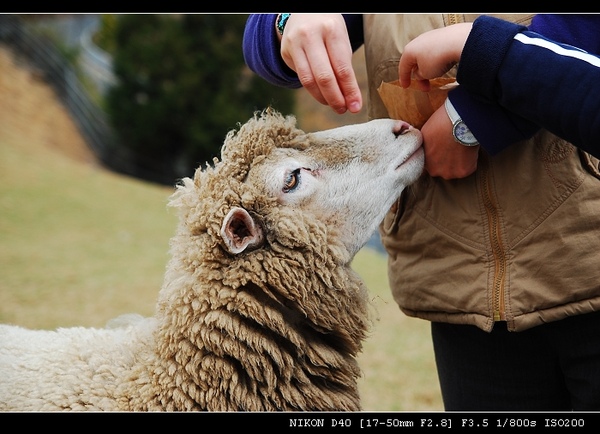 DSC_0754.jpg DSC_0754.jpg