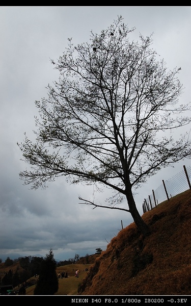 DSC_0766.jpg DSC_0766.jpg