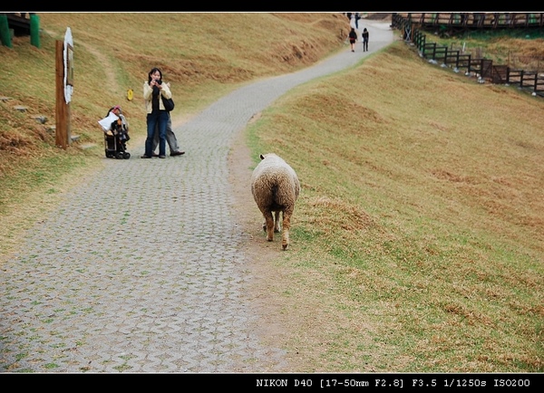 DSC_0771.jpg DSC_0771.jpg