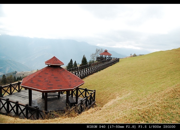 DSC_0780.jpg DSC_0780.jpg