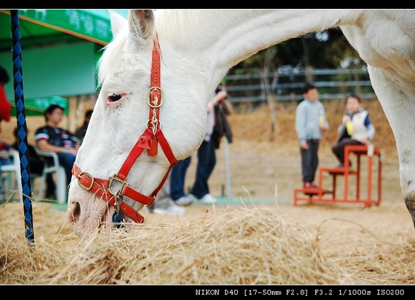 DSC_0817.jpg DSC_0817.jpg