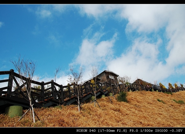 DSC_0846.jpg DSC_0846.jpg
