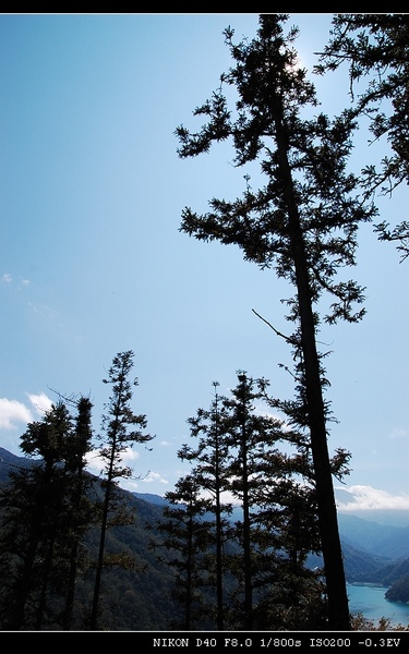 DSC_0861.jpg DSC_0861.jpg