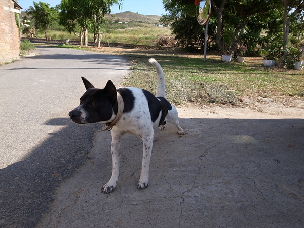 R0010212.JPG R0010212.JPG