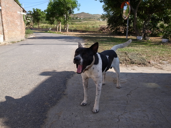 R0010214.JPG R0010214.JPG