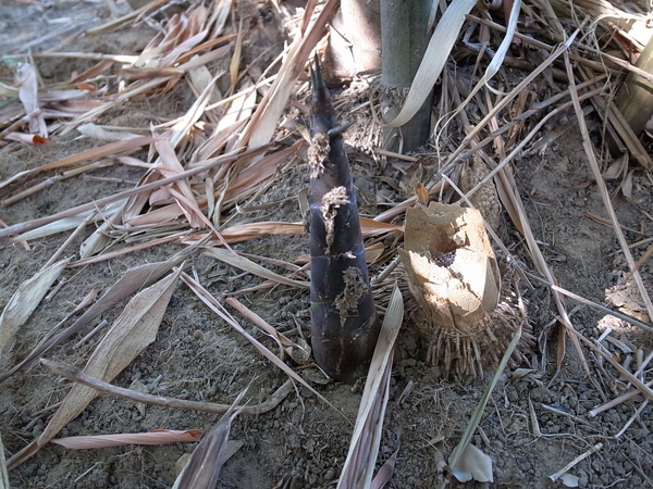 R0010237.JPG R0010237.JPG