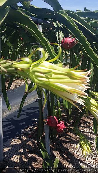 2014-06-24 10.36.36.jpg 2014-06-24 10.36.36.jpg