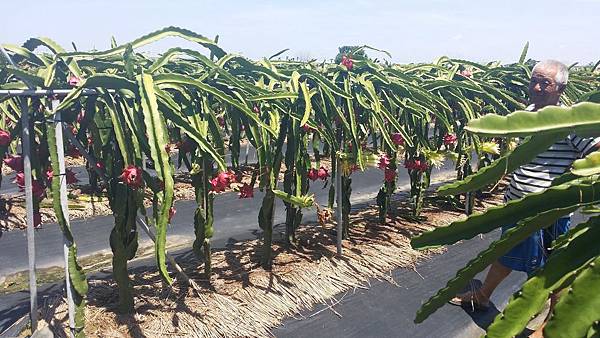 2014-06-24 10.38.58.jpg 2014-06-24 10.38.58.jpg