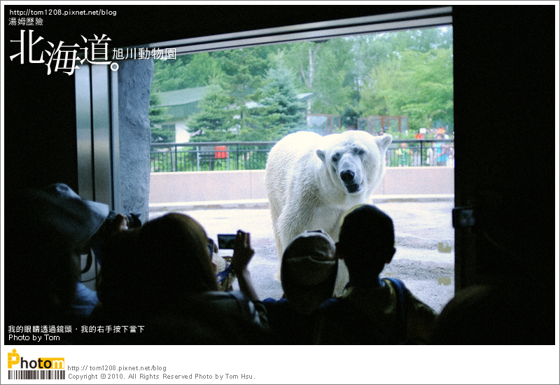 TOM-0730-167.jpg TOM-0730-167.jpg