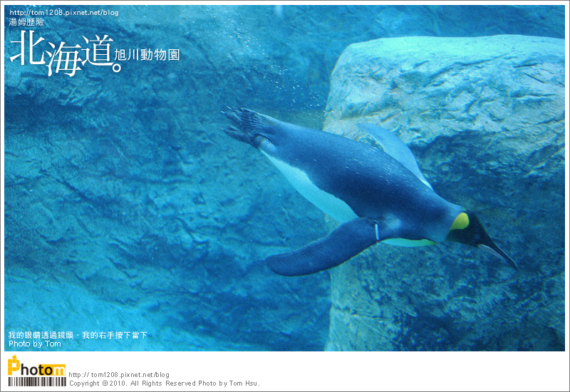 TOM-0730-174.jpg TOM-0730-174.jpg