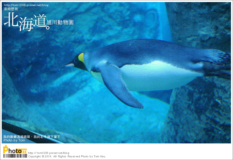 TOM-0730-176.jpg TOM-0730-176.jpg