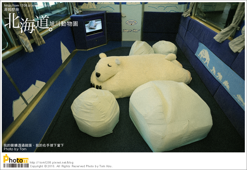 TOM-0730-158.jpg TOM-0730-158.jpg