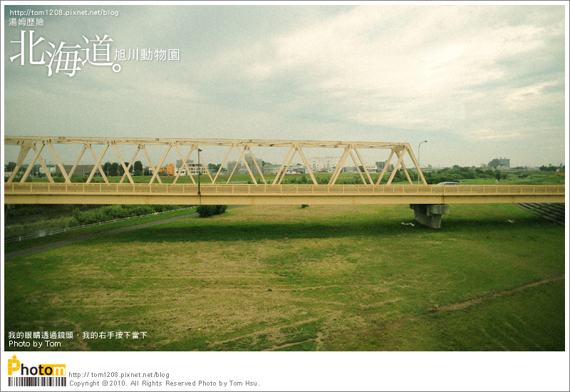 TOM-0730-159.jpg TOM-0730-159.jpg