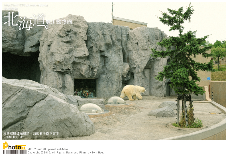 TOM-0730-168.jpg TOM-0730-168.jpg